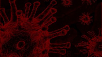 Coronavirus.- Personas sordas piden garantizar la accesibilidad de la información y la comunicación durante la pandemia. (europapress.es)