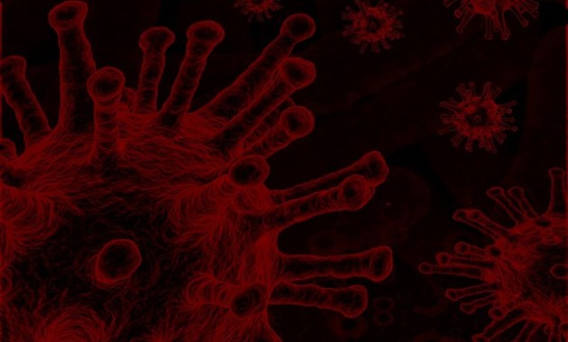 Coronavirus.- Personas sordas piden garantizar la accesibilidad de la información y la comunicación durante la pandemia. (europapress.es)