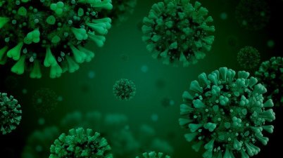 El Departament de Cultura publica la Terminologia bàsica de la COVID-19 en llengua de signes catalana. (govern.cat)