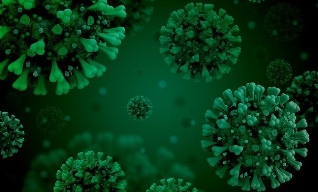 El Departament de Cultura publica la Terminologia bàsica de la COVID-19 en llengua de signes catalana. (govern.cat)